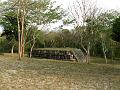 0704 becan 61